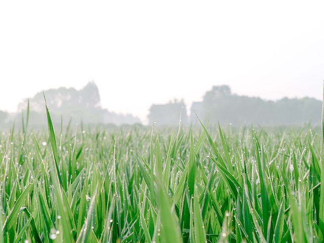 7种方法，“以热制热”来消暑-三七人参胶囊