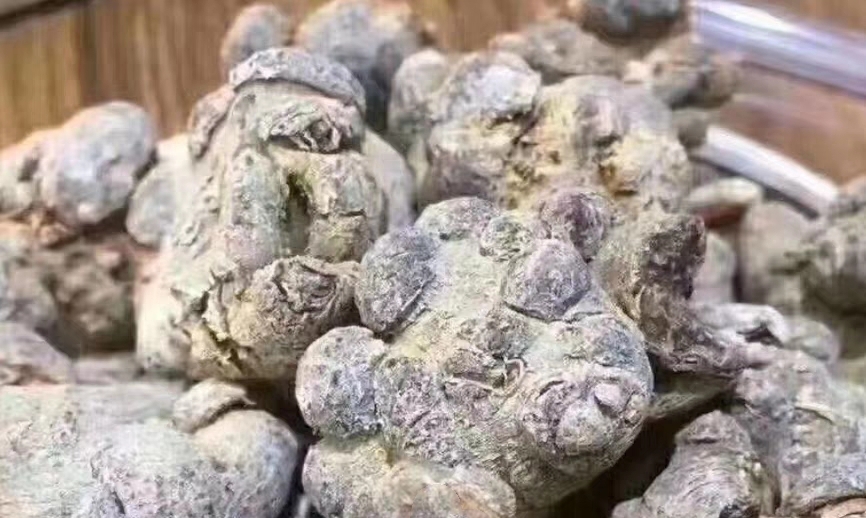 气色好了,三七帮到你