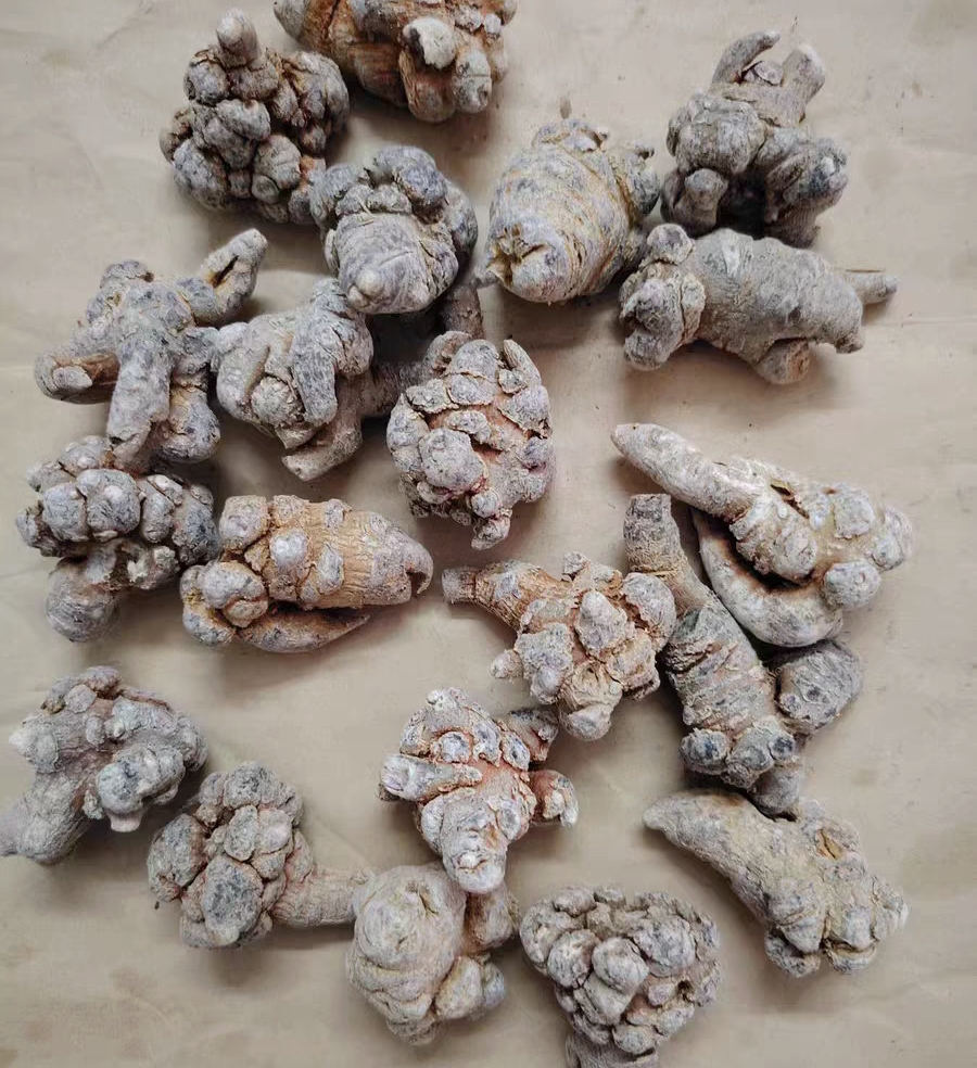 冬天进补靠三七，生吃熟吃暖到心里