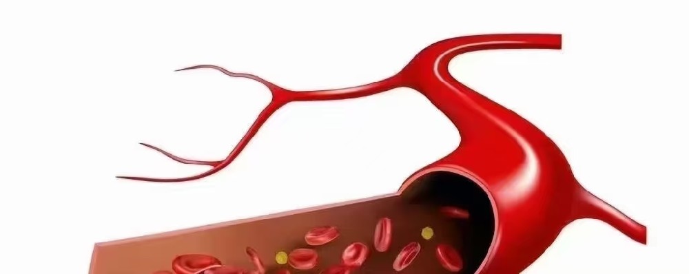 冬天的心脏：它怕你做的7件事