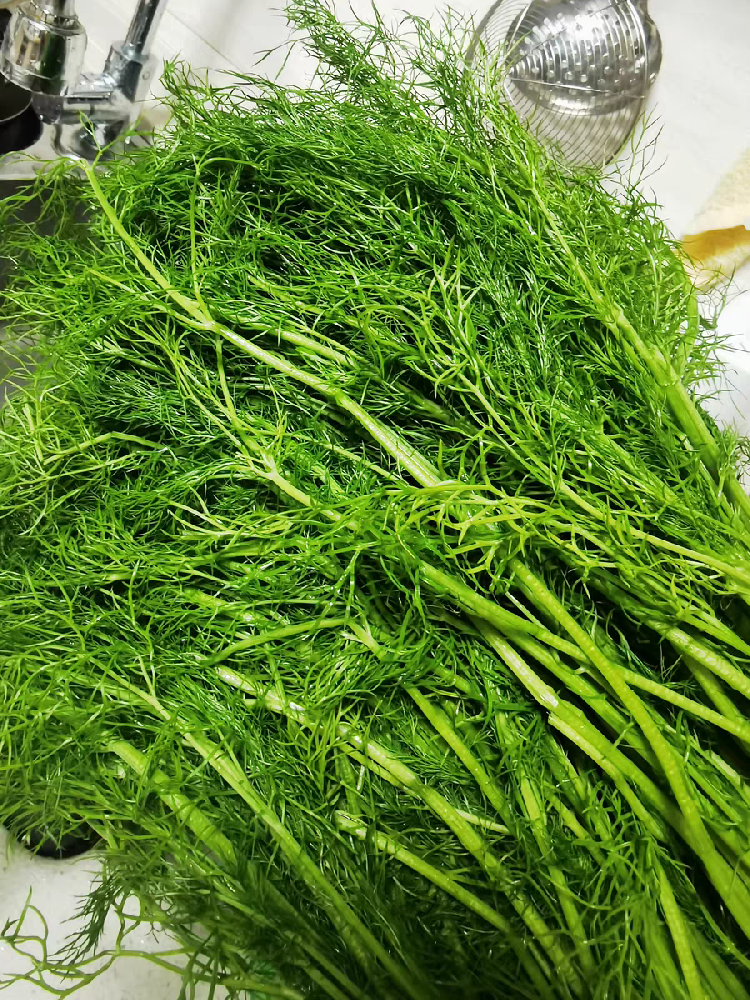 肝舒，则春安，多吃“青色菜”