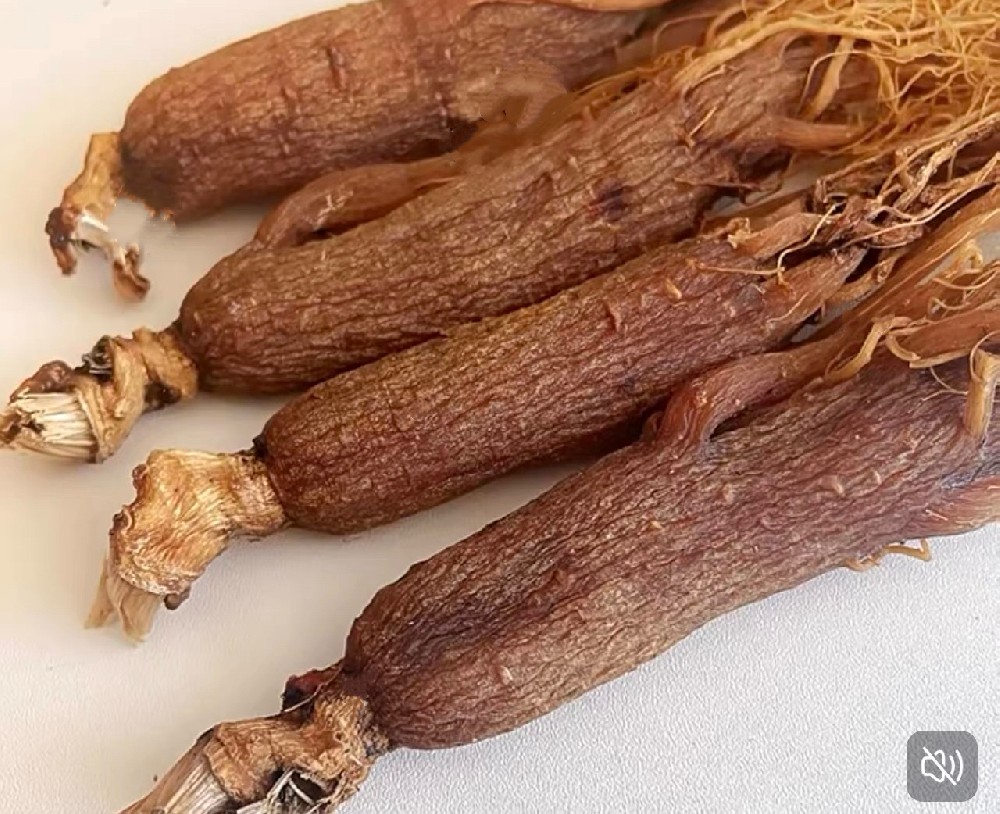 人参：好处记 4 点，选参看 3 点