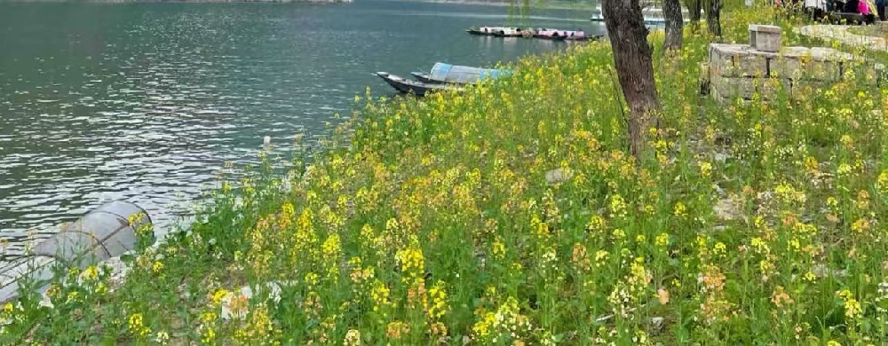 入了春，除了春捂，别忘了补足冬日的亏欠