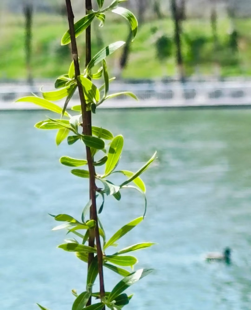 惊蛰遇到回南天，祛湿护脾不踩坑