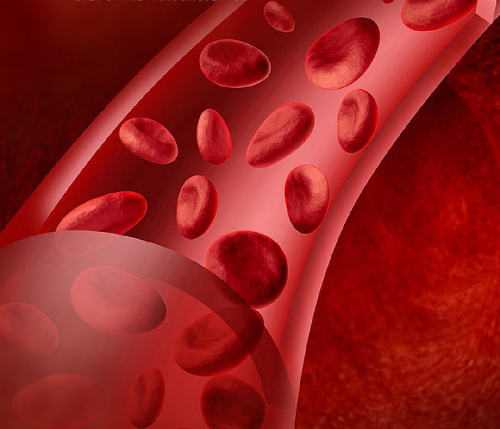 沐春风，养血管，不松懈