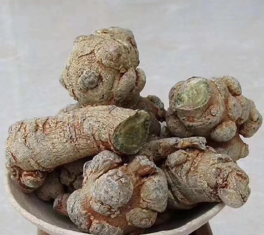 三七，身体的多面守护