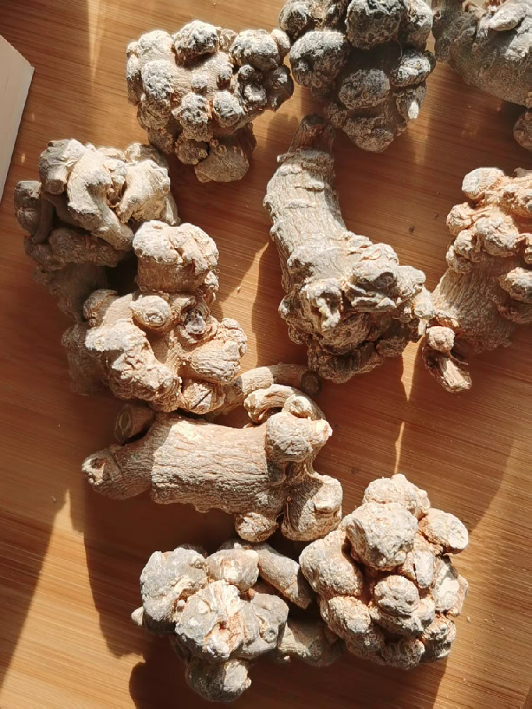 三七养生不盲目，认准生打熟补的方法