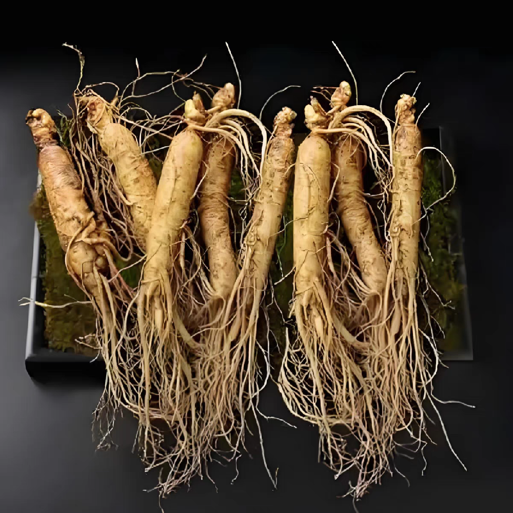 人参，启动身体的能量循环